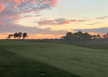 course 3 on Vineyard GC